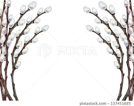 Willow branches frame. Botanical watercolor horizontal template of spring renewal and Easter celebration isolated on white background. Perfect for wedding, invitations, cards and seasonal design 137451685