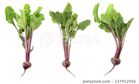 Fresh beetroot with leaves isolated on white background. File contains clipping path. 137452056
