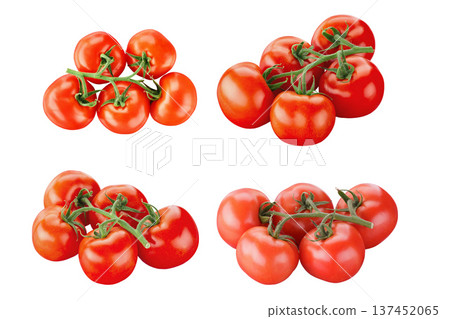 Fresh red tomatoes on vine isolated on white background set. File contains clipping path. 137452065