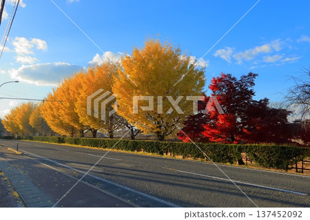 歷史遺跡：根城廣場 - 本丸遺址復原 - 日本百座城堡之一（青森） 137452092