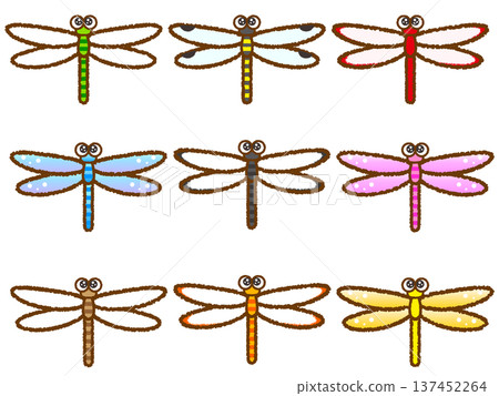 Dragonfly illustration material set 3 137452264