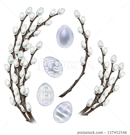 Set of willow branches, Easter eggs. Botanical watercolor clipart of spring renewal and Easter celebration isolated on white background for invitations, cards and seasonal design. Set of willow branches, Easter eggs. Botanical watercolor clipart of spring renewal and Easter celebration isolated on white background for invitations, cards and seasonal design. 137452546
