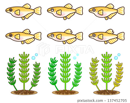 可愛的青鱂魚和水生植物插畫素材集 2 137452705