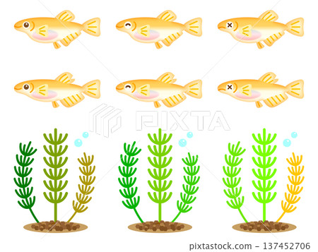 Cute medaka and aquatic plants illustration material set Cute medaka and aquatic plants illustration material set 137452706