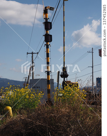 早春時節的南神山鐵路道口（JR土山線鐵軌邊緣的油菜花盛開） 137452985