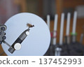 Fly fishing flies 137452993