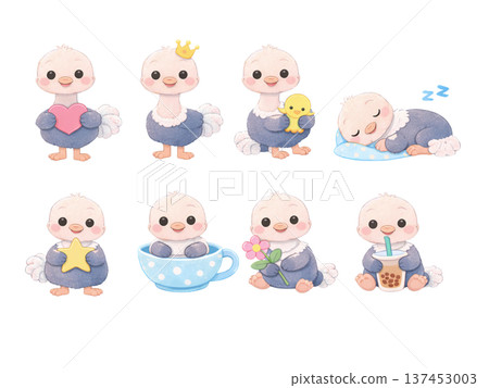 Ostrich illustration set 137453003
