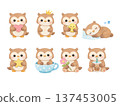 Owl illustration set Owl illustration set 137453005