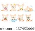 Fox illustration set Fox illustration set 137453009