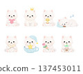 Samoyed illustration set Samoyed illustration set 137453011