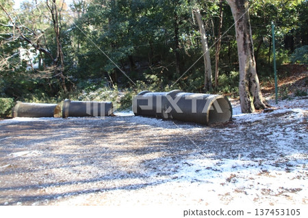 公園冬季 4 公園冬季 4 137453105