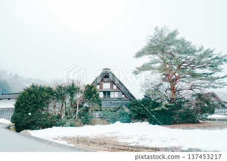 Ryoukagaku of Shirakawago Ryoukagaku of Shirakawago 137453217