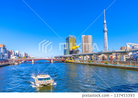 Tokyo cityscape in Japan, with views of Azumabashi Bridge, Urban Ranch II, Tokyo Skytree, etc. (March 8th) Tokyo cityscape in Japan, with views of Azumabashi Bridge, Urban Ranch II, Tokyo Skytree, etc. (March 8th) 137453393