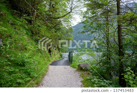 Scenic hiking trail along mountain lake surrounded by lush green forest in alpine landscape Scenic hiking trail along mountain lake surrounded by lush green forest in alpine landscape 137453483