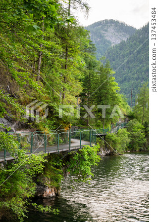 Scenic lakeside walkway along alpine forest and rocky cliff in Austria Scenic lakeside walkway along alpine forest and rocky cliff in Austria 137453484