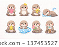 Seal illustration set Seal illustration set 137453527