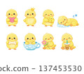Cute chick illustration set Cute chick illustration set 137453530