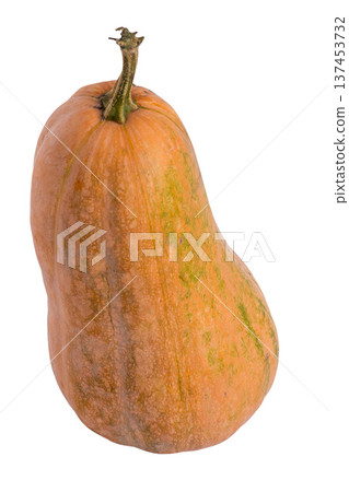 Pumpkin isolated on white background 137453732