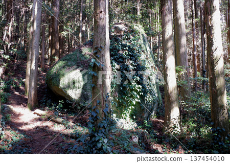Sadayama, Tosashimizu City, Kochi Prefecture, Shirao Shrine ruins and sacred stone Sadayama, Tosashimizu City, Kochi Prefecture, Shirao Shrine ruins and sacred stone 137454010