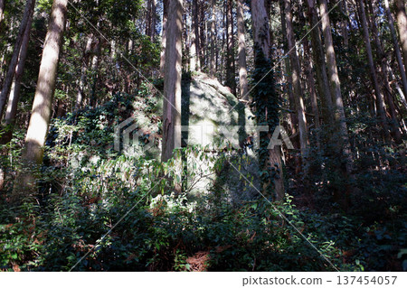 高知縣戶藏水市貞山,白尾神社遺址及聖石 高知縣戶藏水市貞山,白尾神社遺址及聖石 137454057