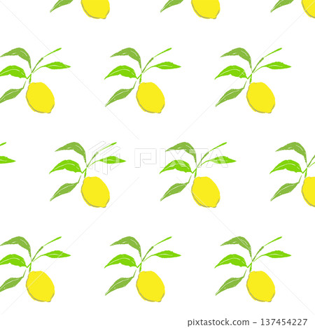 檸檬枝植物圖案材料，附葉子 137454227