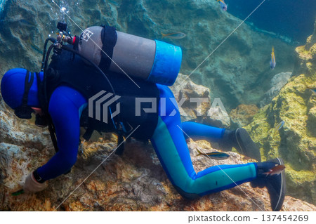 Underwater diver Underwater diver 137454269
