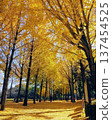 Beautiful yellow leaves at Expo '70 Commemorative Park 137454525