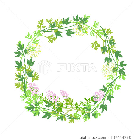 新鮮的薄荷和洋甘菊花環。 137454738