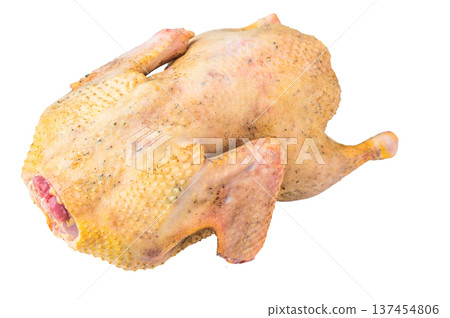 Raw whole young goose gamebird isolated on white background top view. Poultry game meat ingredient for roasting cooking and cuisine. 137454806