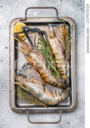 Freshly caught raw rosenbergii prawn displayed elegantly, highlighting their natural beauty and premium quality. grey background. top view Freshly caught raw rosenbergii prawn displayed elegantly, highlighting their natural beauty and premium quality. grey background. top view 137455019
