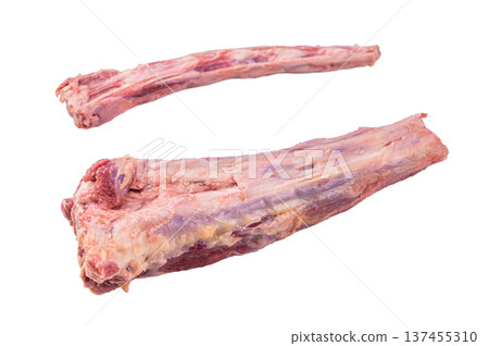 Butcher style raw oxtail pieces on rustic board isolated on white, uncooked beef bones for soup stock and slow cooked dishes 137455310