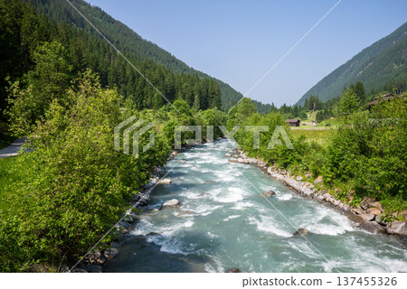 Clear alpine river flowing through green mountain valley with forest landscape in summer 137455326