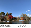 Clear autumn sky, autumn leaves and lake 137455430