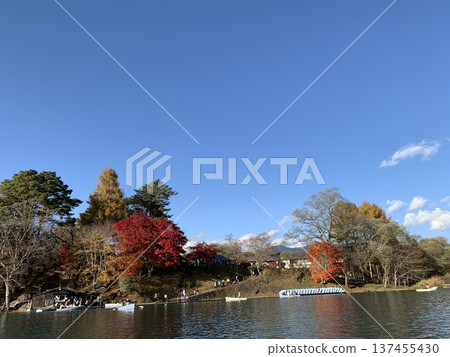Clear autumn sky, autumn leaves and lake Clear autumn sky, autumn leaves and lake 137455430