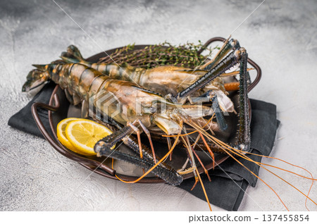 Plump raw giant river prawns shrimps, ideal for sushi, grilling, or adding a touch of luxury to any meal. white background. top view Plump raw giant river prawns shrimps, ideal for sushi, grilling, or adding a touch of luxury to any meal. white background. top view 137455854