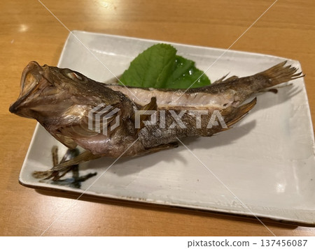 Grilled rockfish (Gashira) Grilled rockfish (Gashira) 137456087