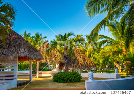 Carribean hotel in Dominican Republic, travel vacation summer background Carribean hotel in Dominican Republic, travel vacation summer background 137456407