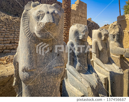 Karnak Temple is dedicated to the temple complex of Ancient Egypt. Thebes, Karnak, Luxor, Egypt Karnak Temple is dedicated to the temple complex of Ancient Egypt. Thebes, Karnak, Luxor, Egypt 137456687