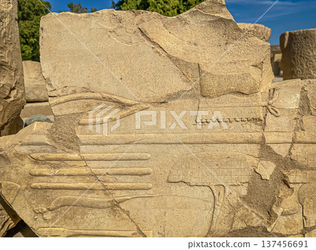 Karnak Temple is dedicated to the temple complex of Ancient Egypt. Thebes, Karnak, Luxor, Egypt Karnak Temple is dedicated to the temple complex of Ancient Egypt. Thebes, Karnak, Luxor, Egypt 137456691