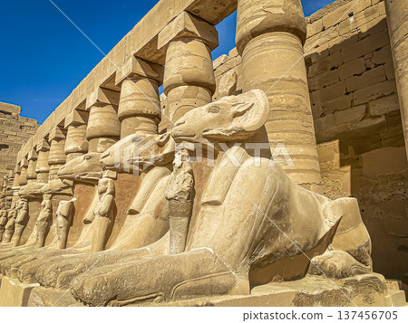 Karnak Temple is dedicated to the temple complex of Ancient Egypt. Thebes, Karnak, Luxor, Egypt Karnak Temple is dedicated to the temple complex of Ancient Egypt. Thebes, Karnak, Luxor, Egypt 137456705
