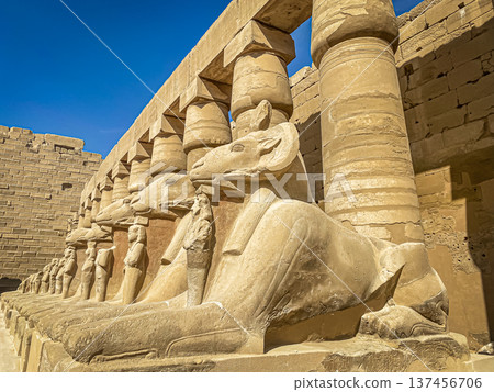 Karnak Temple is dedicated to the temple complex of Ancient Egypt. Thebes, Karnak, Luxor, Egypt 137456706