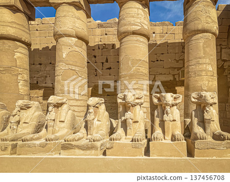Karnak Temple is dedicated to the temple complex of Ancient Egypt. Thebes, Karnak, Luxor, Egypt Karnak Temple is dedicated to the temple complex of Ancient Egypt. Thebes, Karnak, Luxor, Egypt 137456708