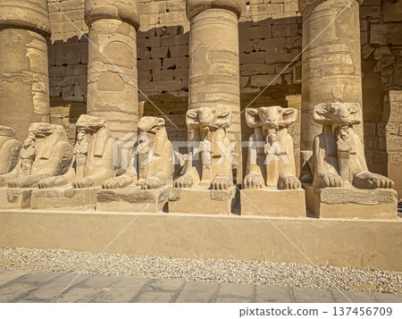 Karnak Temple is dedicated to the temple complex of Ancient Egypt. Thebes, Karnak, Luxor, Egypt 137456709