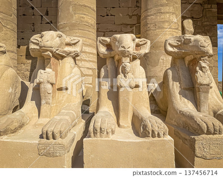 Karnak Temple is dedicated to the temple complex of Ancient Egypt. Thebes, Karnak, Luxor, Egypt Karnak Temple is dedicated to the temple complex of Ancient Egypt. Thebes, Karnak, Luxor, Egypt 137456714