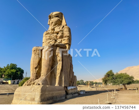 Colossi of Memnon, two massive stone statues representing the pharaoh, Luxor, Egypt Colossi of Memnon, two massive stone statues representing the pharaoh, Luxor, Egypt 137456744