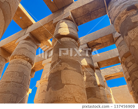 Karnak Temple is dedicated to the temple complex of Ancient Egypt. Thebes, Karnak, Luxor, Egypt Karnak Temple is dedicated to the temple complex of Ancient Egypt. Thebes, Karnak, Luxor, Egypt 137456909