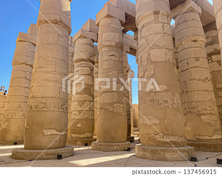 Karnak Temple is dedicated to the temple complex of Ancient Egypt. Thebes, Karnak, Luxor, Egypt Karnak Temple is dedicated to the temple complex of Ancient Egypt. Thebes, Karnak, Luxor, Egypt 137456915