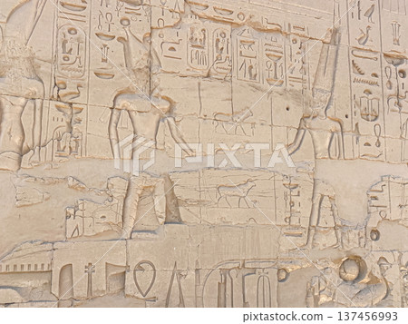 Karnak Temple is dedicated to the temple complex of Ancient Egypt. Thebes, Karnak, Luxor, Egypt Karnak Temple is dedicated to the temple complex of Ancient Egypt. Thebes, Karnak, Luxor, Egypt 137456993