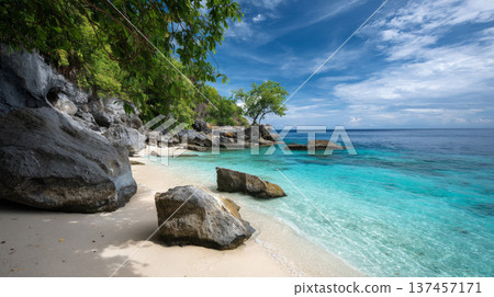 Calm close-up of calm sea water waves with palm trees. Beautiful panorama, tropical island beach landscape exotic shore coast. Summer vacation, holiday amazing nature. Sea background 137457171