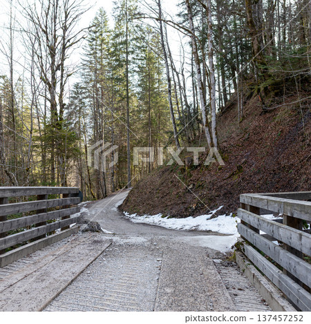 Wooden bridge leading to a quiet forest trail in alpine woodland Bavaria Germany Wooden bridge leading to a quiet forest trail in alpine woodland Bavaria Germany 137457252